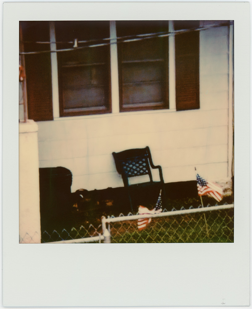 Polaroid 31